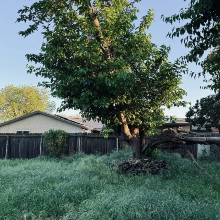 image3 (1)